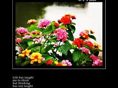 -塘径小院农家食府