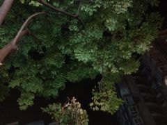 -福记烧烤大排档(西政店)