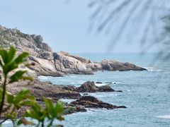 -广东惠东海龟国家级自然保护区