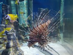 -福州罗源湾海洋世界旅游区