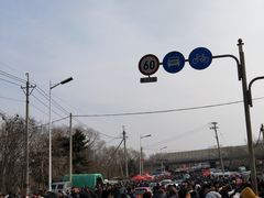 -蒲河大集