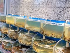 -仙螺岛海鲜自助餐厅(总店)