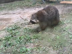 -青藏高原野生动物园