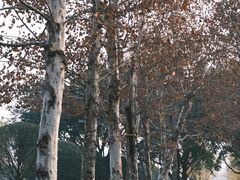 -重庆中央公园(渝北区)