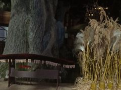 -淀里船宴(卓达店)