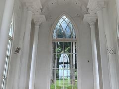 -南宁花花大世界景区