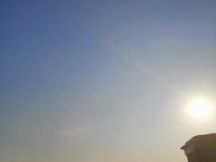 -芒洲湿地公园