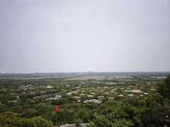 -上海佘山国家森林公园西佘山园