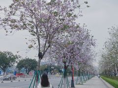 -花都广场