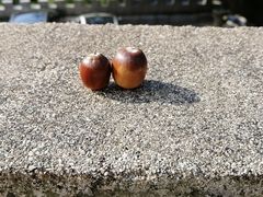 -罗田天堂寨风景区