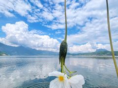 -丽江泸沽湖景区