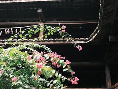 -福建土楼（南靖）云水谣景区-和贵楼