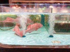 -阿伟海鲜楼·福建菜(延寿店)