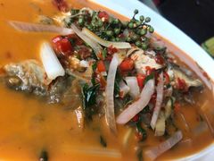 -大笮风(体育馆总店)