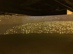 -第九届妖漫动漫游戏展曁七夕情人祭