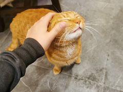 -聚汇三少·龙虾·中餐厅(莫邪路新天地店)