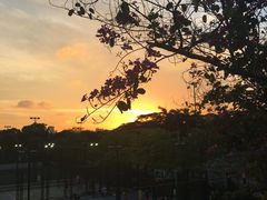 -海心沙亚运公园