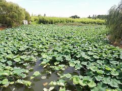 -重元寺香积厨素斋馆