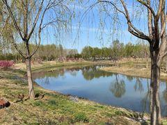 -东郊湿地公园