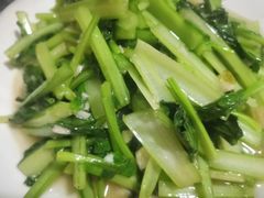 -煲来饱去冷水鱼