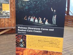 -怀托摩萤火虫洞