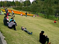 -白鹭湾湿地公园