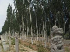 -黄沙古渡原生态旅游区