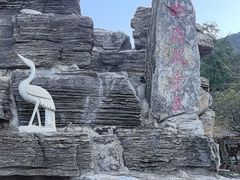 -大岭沟猕猴桃谷风景区