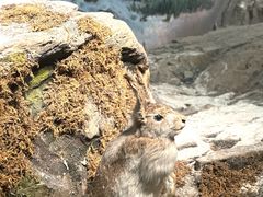 -浙江自然博物院(杭州馆)