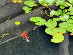 -兰亭风景区