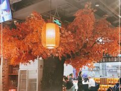 大堂-雲蜀龙阁·金牌水煮鱼(方庄店)