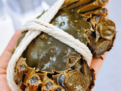 -阳澄湖大闸蟹·琼灵阁牌品牌连锁(吴中总店)