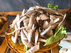 鸡枞菌-菌海森林野生菌火锅(摩根道店)