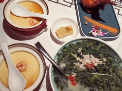 鸽汤浸万年青-大鸽饭(体育西路店)