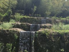 -宁波浙东大竹海景区
