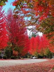 -西瓜庄园儿童摄影