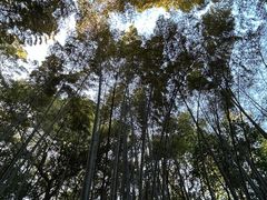 -宝石山