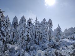 -瓦屋山景区