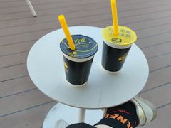 -招商蛇口邮轮母港(观光客运)