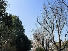 -昆山城市生态森林公园