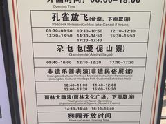 -西双版纳原始森林公园