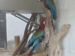 -青藏高原野生动物园