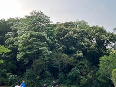 -火炉山森林公园
