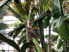 -石家庄市植物园