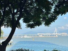 -ommo cafe(半岛城邦店)