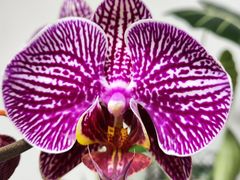 -潮人姐妹轩(海宁路店)