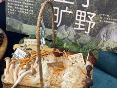 -大龙燚·旷野鲜火锅(广州首店)