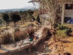 -黄色小屋
