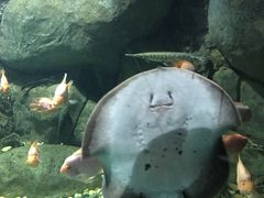 -苏州海洋馆