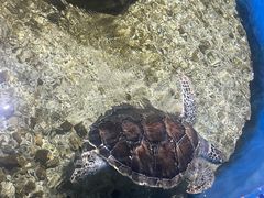 -顺德南宏海立方海洋公园